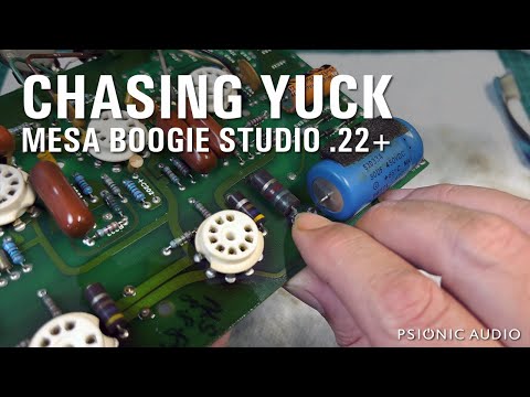 Chasing Yuck | Mesa Studio .22+