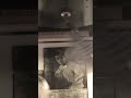 Michael Jackson Beat It &  SMOKIN JOE Beating On A Speed Bag wearing 16 OZ Gloves