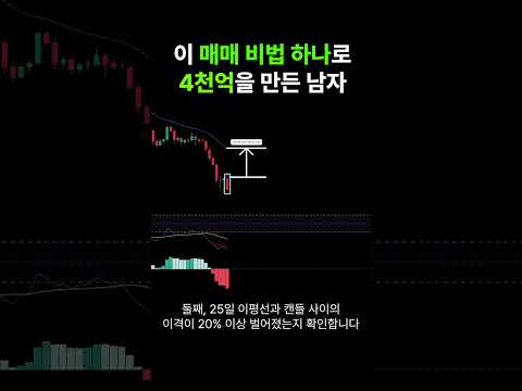 2천만원을 4천억으로 만든 일본의 천재 트레이더 BNF #rsi #이동평균선 #macd