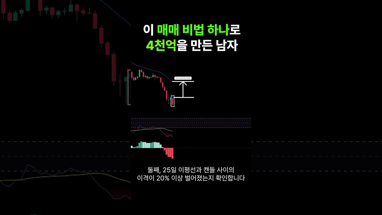 2천만원을 4천억으로 만든 일본의 천재 트레이더 BNF #rsi #이동평균선 #macd