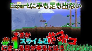 謹少慎微橄欖石と猪突猛進着火剤の【terraria】Exモード#1