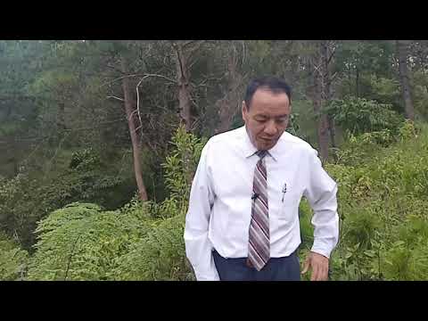 Ntsuab zeb yaj sob lus yuav tsum paub 31/10/2019