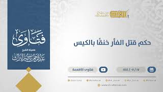 حكم قتل الفأر خنقًا بالكيس - الشيخ عبدالرحمن البراك (11872) image