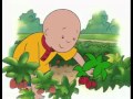 Caillou - Caillou Goes Strawberry Picking (Full ...
