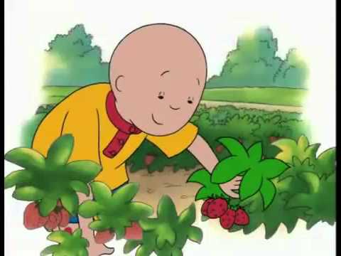 Caillou - Caillou Goes Strawberry Picking (Full)