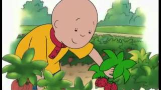 Caillou - Caillou Goes Strawberry Picking (Full)