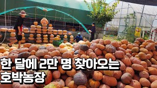 쇼핑몰 그만두고 귀농하여 한 달에 2만 명 찾아오는 호박농장 만든 비결