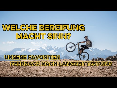 Which tires make sense? Our favorites and honest feedback after long-term testing