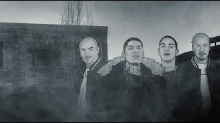 Gallo De Pelea Lyrics English Translation