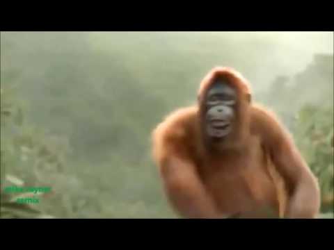 Will Grigg's on Fire #6 | Monkey