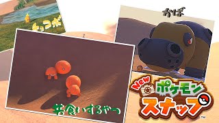 【実況】新境地、灼熱のネッサ砂漠。「Newポケモンスナップ」#５