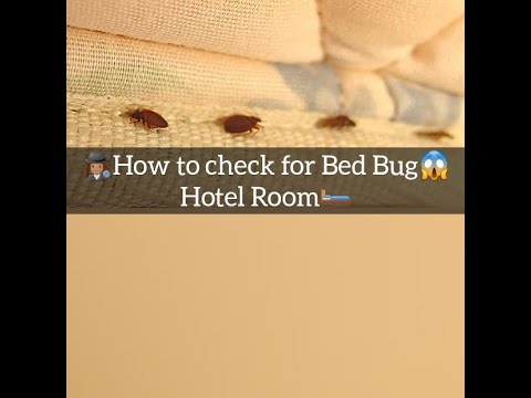 YouTube video about: Can bed bugs crawl on plastic garbage bags?