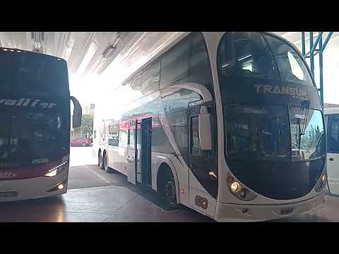 👉🚍 Viaje en ómnibus por la Ruta Nacional 35 en La Pampa: Santa Rosa - Winifreda (Sonido Ambiente) 🚌