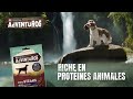 Pub web Purina 