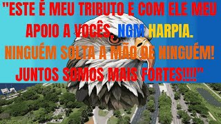 FORÇA DAS ÁGUIAS: UNIDOS E MOTIVADOS! NLG ??!!!!