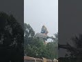 Jai Shree Ram Trending Jaishreeram Viral Jaihanuman Jai Jaisiyaram Shivani Labh