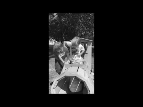 Robbery On The Rails