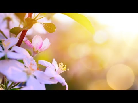 Morning Relaxing Music - Wake up with Positive Feelings (Marilyn)