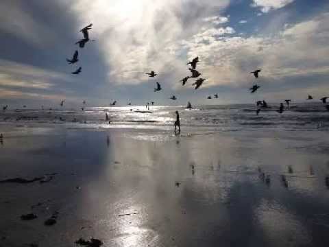 Happy birthday -  Kobi Arad feat. Isa Iolanda !!!