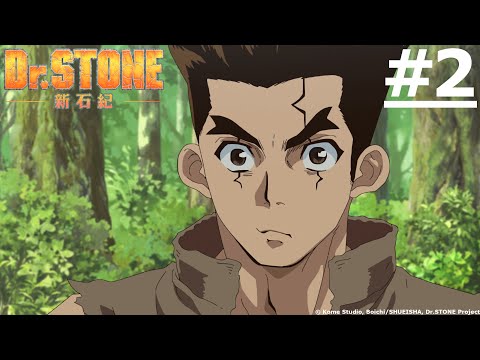 PHẦN 1 | DR.STONE