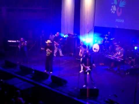 Žlutý pes - Sametová