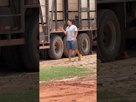 Mais um embarque de bezerras em Santa Quitéria do Maranhão #boiadeiros #galeraqueacelera #boiadeiros