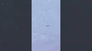 Download lagu F-16 Unleashes Cluster Bombs – Precision Strike in Action 💥✈️#f16 #usa  #bomb #iran #israel #latest mp3