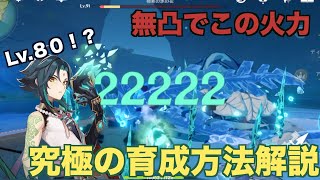 [原神]Lv８０＆天賦７でこの火力！？育成方法分かりやすく説明するぞ