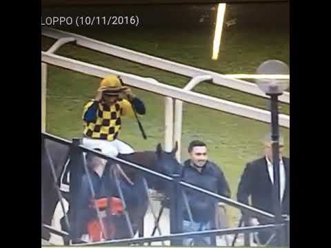 Premio Aloisi Gruppo 3 1 Posto  Kathy dream