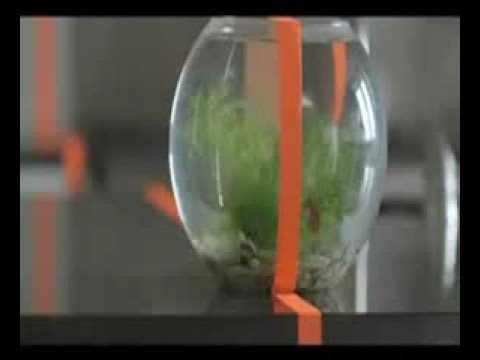 Gage Ft. Vitaa - Tu peux choisir