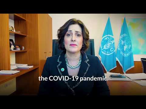 Food and Agriculture Organization