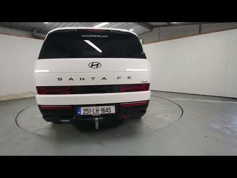 Hyundai Santa Fe 1.6 PHEV 4WD Premium Calligraphy - Image 2