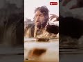 Sivoham HD Whatsapp Status Naan Kadavul Tamil Movie Arya