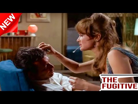 The Fugitive 2024 Full Episode  S04E7 9  Approach with Care