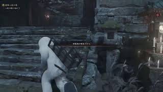 鬼武者WS　鬼殺ほぼ無強化&回復縛り(無言作業配信)