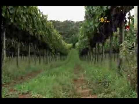 Oh! de Casa DIA 16/03/2014 - BLOCO 1 - ( Fazenda Quinta dos Montes )