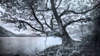 Bitter Fruit (Dead Weight) - Billie Myers