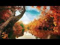 All 4k Video Short Video Like Share And Subscribe