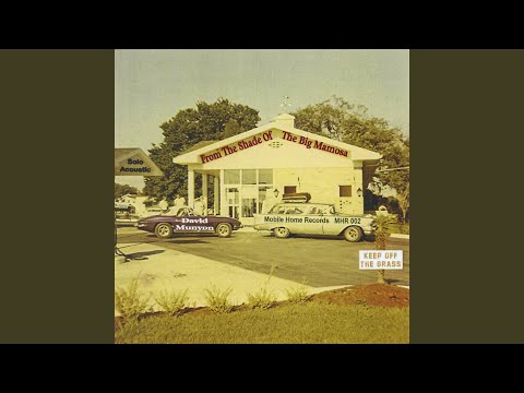 Dixie Blue video