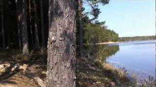 preview picture of video 'Hiking & Fishing Sweden - Wandelen & Vissen Zweden Värmland'