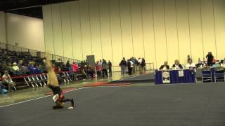 Cinny Lamberti Lv10 Gymnastics Factory, Floor 2015CircleofStars