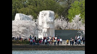2026 Let Freedom Ring! Celebration
