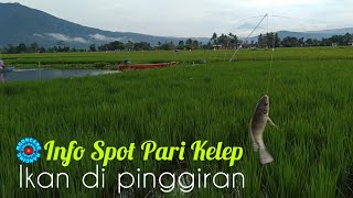 Download lagu Info Spot Pari Kelep Bejalen ‼️ Mancing Rawa Pening Terbaru @mboncengmancing #78 mp3 Download lagu Info Spot Pari Kelep Bejalen ‼️ Mancing Rawa Pening Terbaru @mboncengmancing #78 mp3