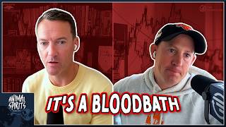 It's a Bloodbath | Animal Spirits 487
