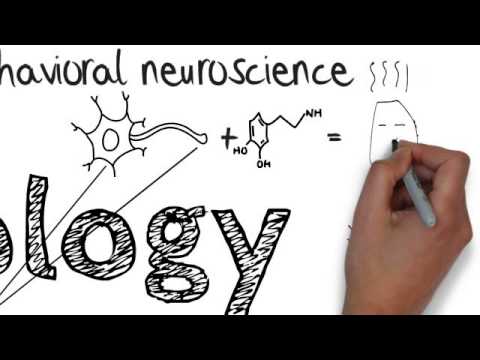 心理学入門アニメーション (Psychology Intro Animation)