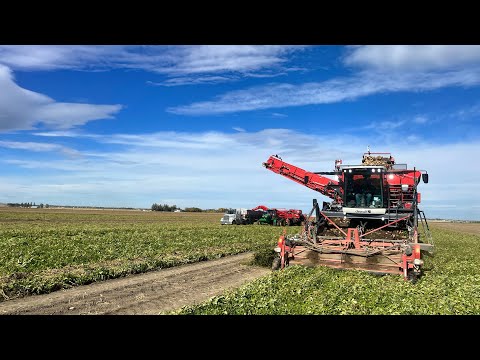 845 Spud Farms season 2024