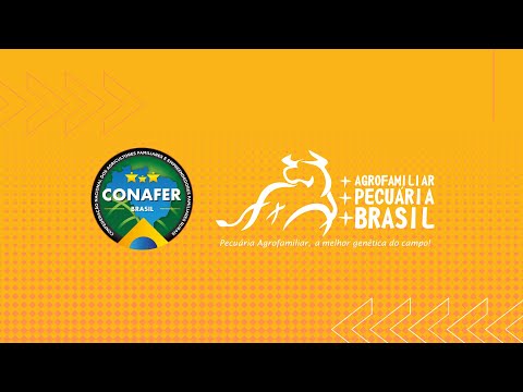 Live de lançamento +PECUÁRIA BRASIL #192 - 09/05/2024