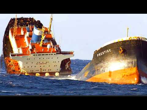 Reinhard Mey - Das Narrenschiff