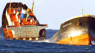 Reinhard Mey - Das Narrenschiff