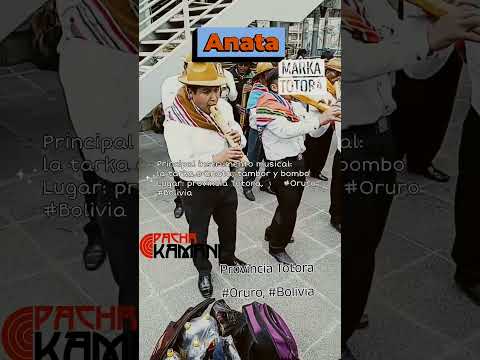 Anata, tarka de Marka Totora. Oruro Bolivia